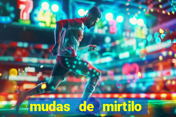 mudas de mirtilo em porto alegre